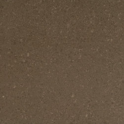 Wilde Rice Caesarstone Quartz Countertop - Products