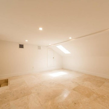 Unknown Jungle to Contemporary with Character