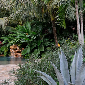 Tropical Design