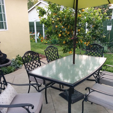 Demonstration Gardens