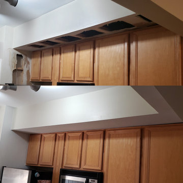 Chicago Wicker Park drywall water damage repair