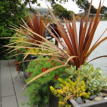 Spa Deck Planters
