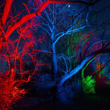 Unique holiday outdoor lighting in Brentwood, TN.