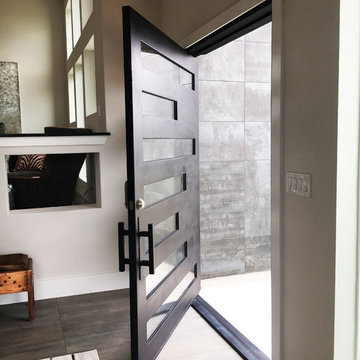 Contemporary/Modern Iron Doors