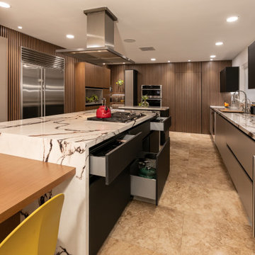 Irresistible Wood Panel Contemporary Kitchen