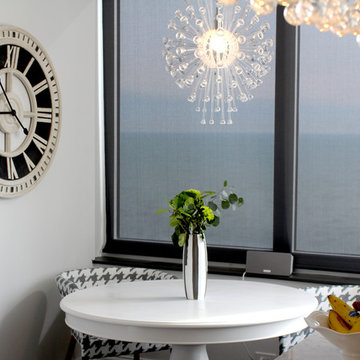 Lake Shore Drive- Designer Screen Shades