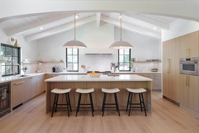 Kitchen - contemporary kitchen idea in San Francisco