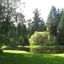 ponds
