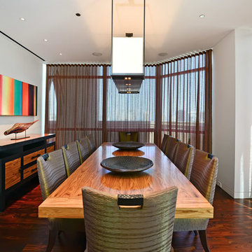 Chicago Modern Penthouse