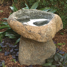 Landscape Ideas