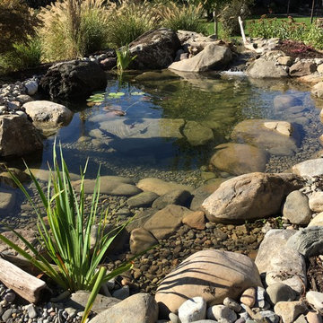 Fish Pond Rebuild