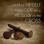 Kathy Hill's photo