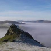 Helen Hone's photo