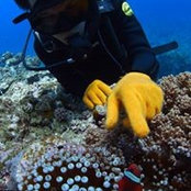 Kei Simmel's photo