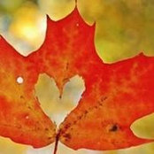 Sherry Cameron's photo
