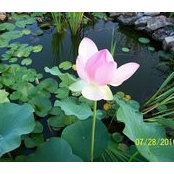 Foto de Sally Winings Boehm
