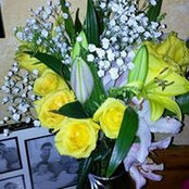 Kassy Sterling's photo
