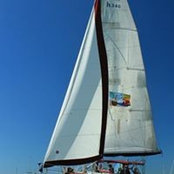 Brett Bowen's photo