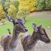 Foto von Julia Müller