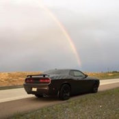 Cyndi White's photo