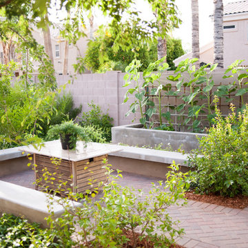 Modern backyard - Gilbert (Renovation)