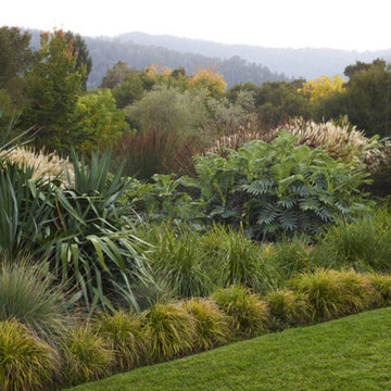 A garden of ours in Woodside, recently photographed by Marion Brenner