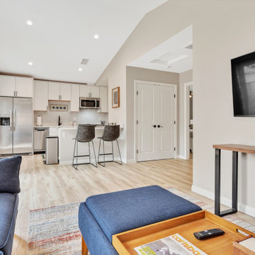 Living / Kitchen Area