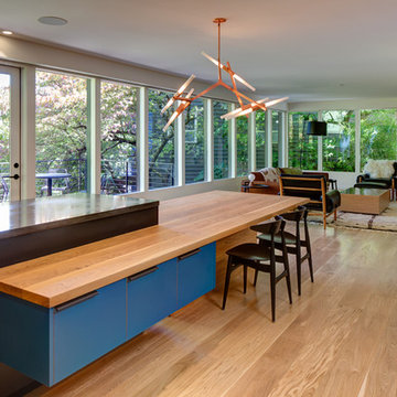 Wallace Park Modern Whole House Remodel