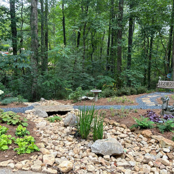 Woodland Shade Garden