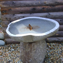 Landscape Ideas