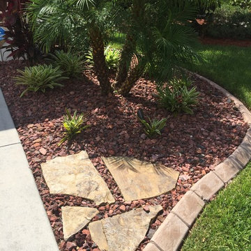 Bromeliads garden