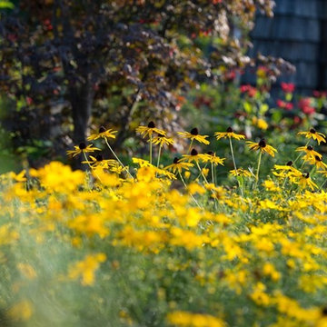 Garten der vielfältigen Sinne