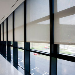 Roller Shades - Roller Shades