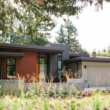 Langley Modern