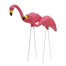 Wish List