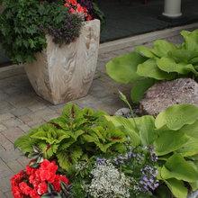 Rock Garden