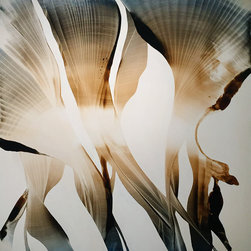 Abstract Oil Paintings - Products