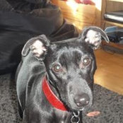 Emma Blane's photo