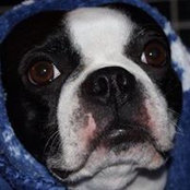 Michael Porter's photo