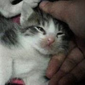 Aeres Solomon's photo