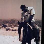 Hani Desouky's photo