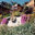 Dennis Richard O'Connor/Habitat Concepts