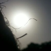 Vishnu Shukla's photo