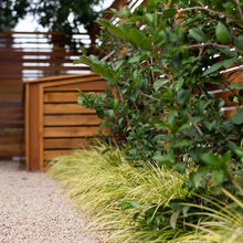 Yard Ideas