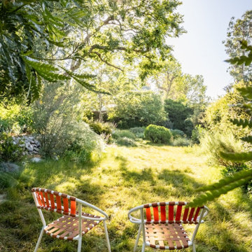 Succession Trees | Early Summer 2025
