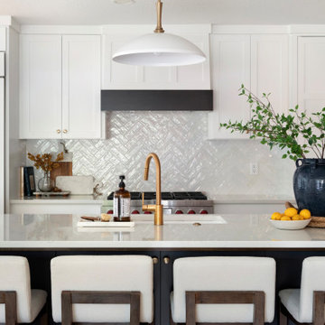 Edina Court - Whole Home Remodel