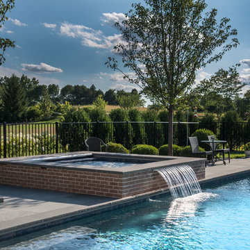 Lake Forest, IL Swimming Pool With Full Steps and Raised Spa With Sheer Descent
