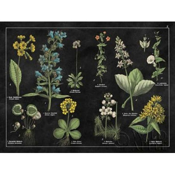 Botanical Floral Chart I Black and White Print