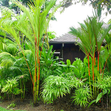 Luxury Eco Resort