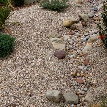 Conscious Stream Scape- Silverlake